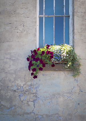 Flowers in a window box of a Welsh chapel